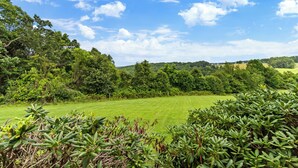 A lush green field with dense trees in the background and a clear blue sky.
