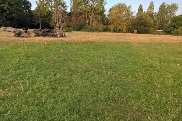 Un campo cubierto de hierba con un árbol caído y un objeto naranja pequeño a lo lejos.