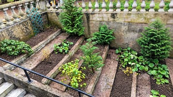 A garden with raised beds and a stone wall.
