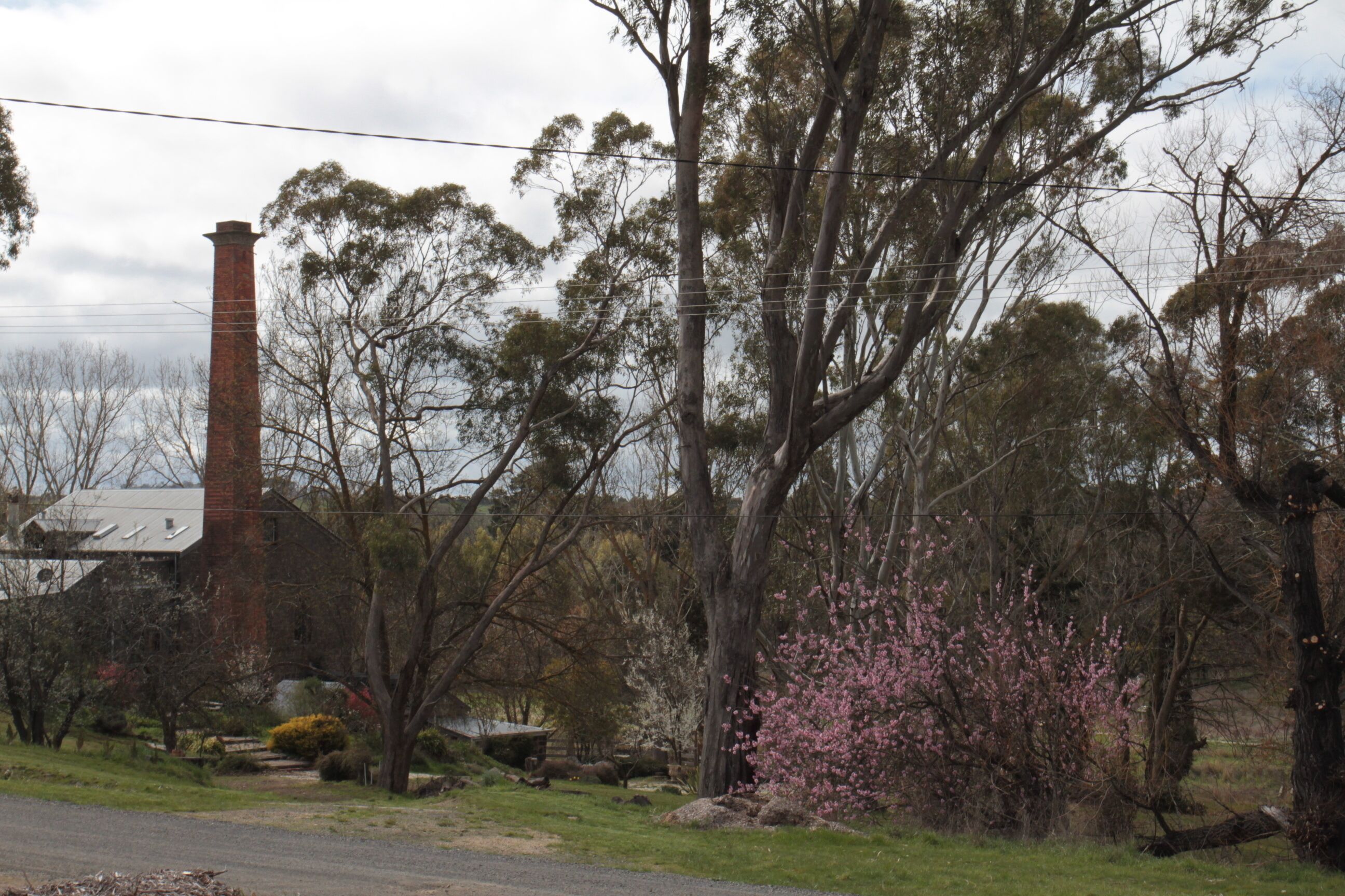 A brick chimney, trees, and a road.