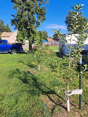 Property grounds - The Peacock House - Luxury 4 bedroom, 2 bath (Cimarron)