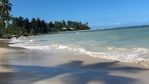 Ein Strand mit blauem Himmel, sanften Wellen und Palmen.