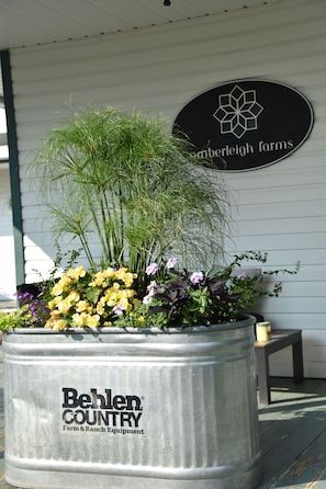 Terrein van de accommodatie