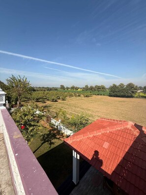 Àrea exterior de l'allotjament