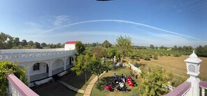 Property grounds - Guava resort  (Sawai Madhopur)