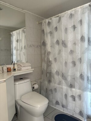 Hair dryer, towels, soap, toilet paper