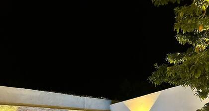 Apartamentos 31