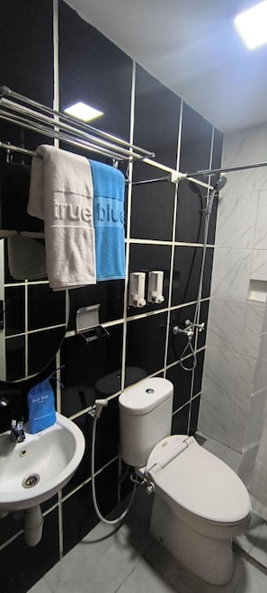 Towels, soap, shampoo, toilet paper