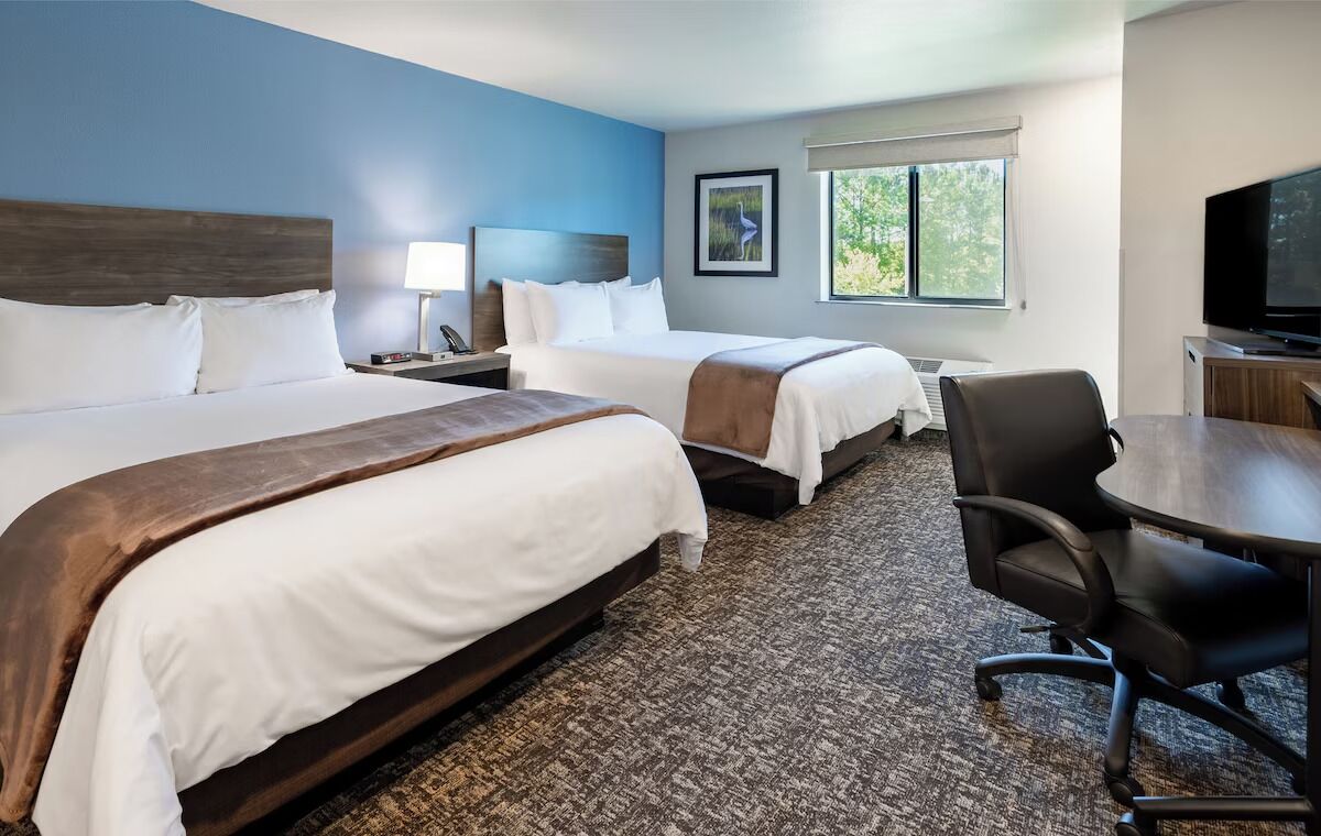 Unwind Near White Deer Park Nature Center - Full Kitchen & Pet Friendly! - Clayton, NC