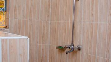Regadera, toallas, jabón, papel de baño