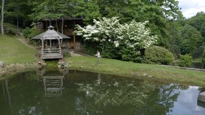 Property grounds - Lakeside Cabin - 2 Fireplaces-Hot Tub~Sauna~Games (Mars Hill)