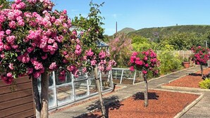 A garden with pink flowering plants, a wooden fence, and a hillside in the background.