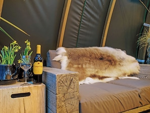 Un gato recostado en un sofá, con una botella de vino y flores sobre una mesa de madera.