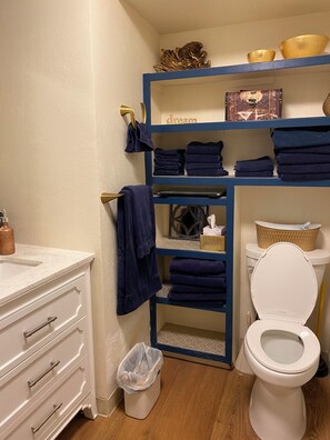 Hair dryer, towels, soap, toilet paper