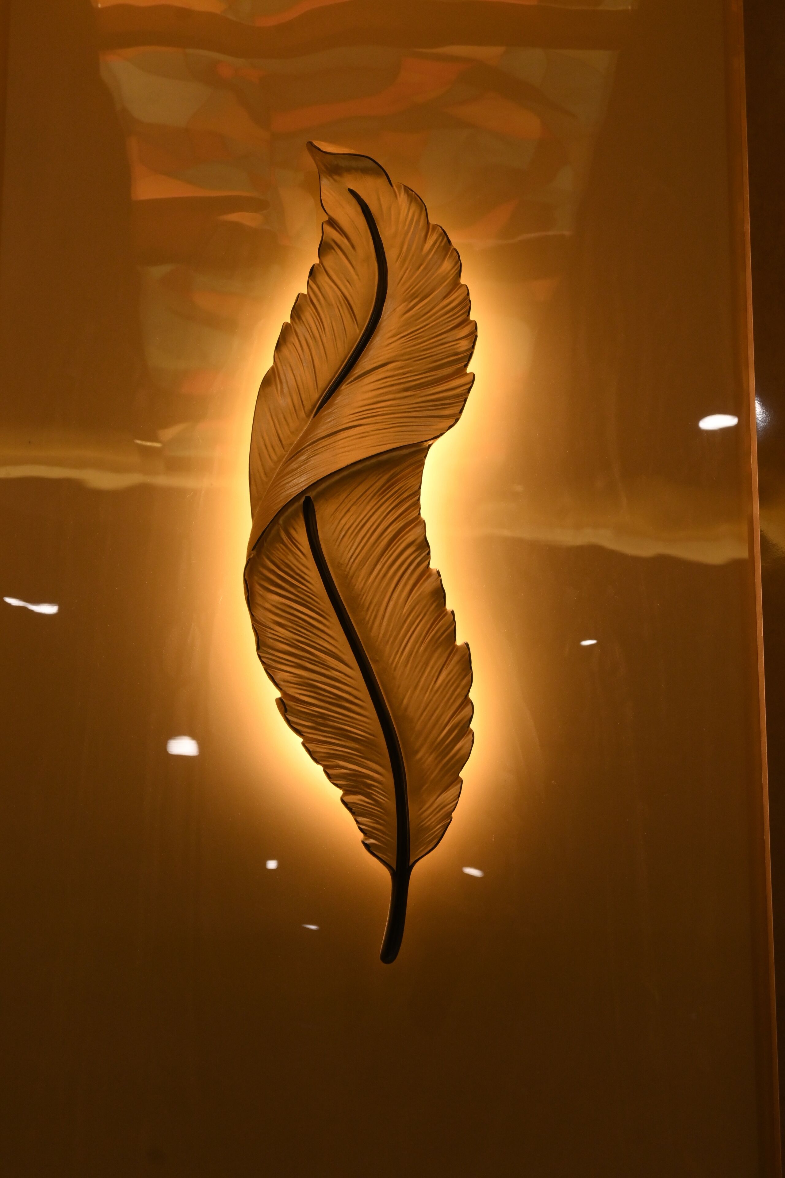 บริเวณภายนอก