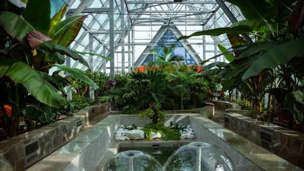 Pemandangan taman
