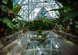 An indoor atrium with a glass ceiling, a central water feature, and lush tropical plants. - Oasis apartments near Botanic Garden (Astana)