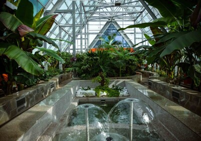Oasis apartments near Botanic Garden