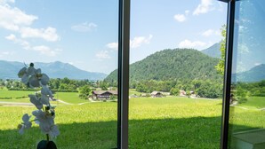 Une vue depuis une fenêtre, avec une orchidée en pot, donnant sur un champ verdoyant, des maisons et des montagnes au loin.