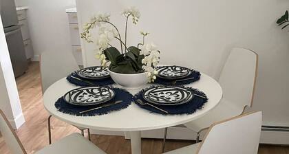 Modern 1 bedroom apartment near Stony Brook university hospital walking distance