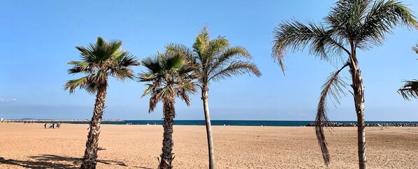 Camastros y toallas de playa 