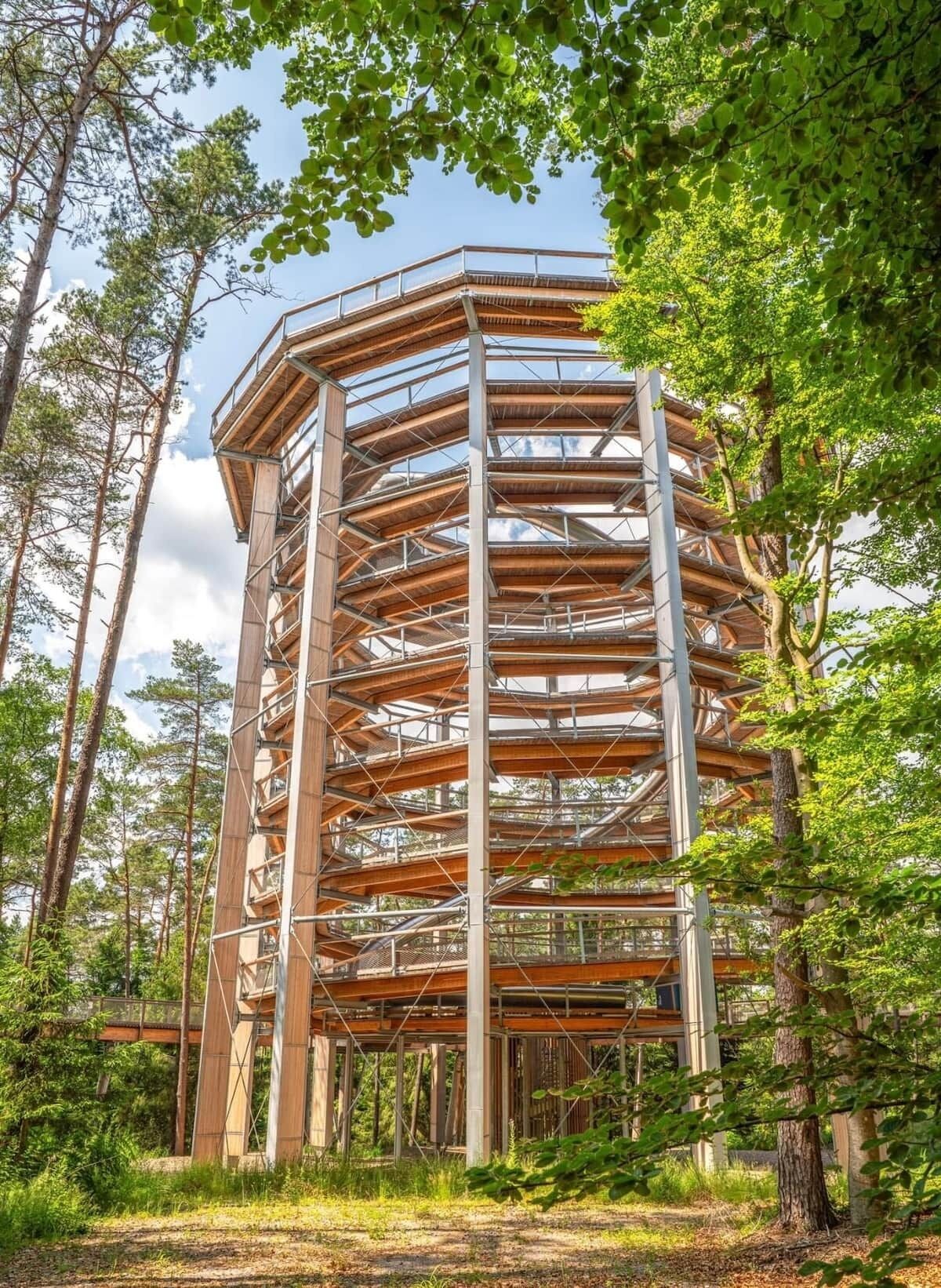 Een houten constructie met meerdere niveaus en een metalen frame, omgeven door bomen.