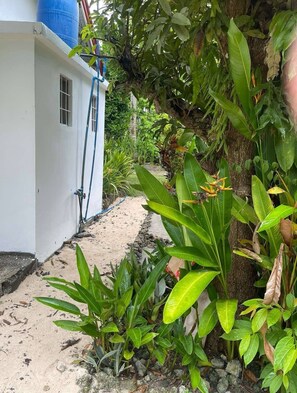 Détail de l’extérieur