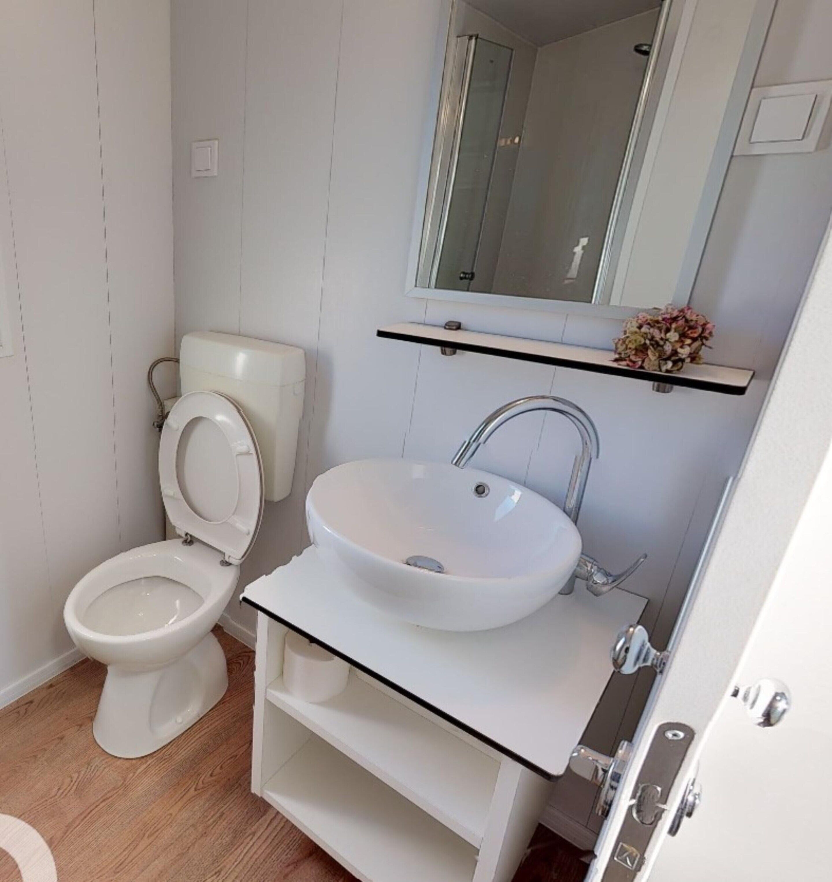 Un baño con inodoro, lavabo y espejo.