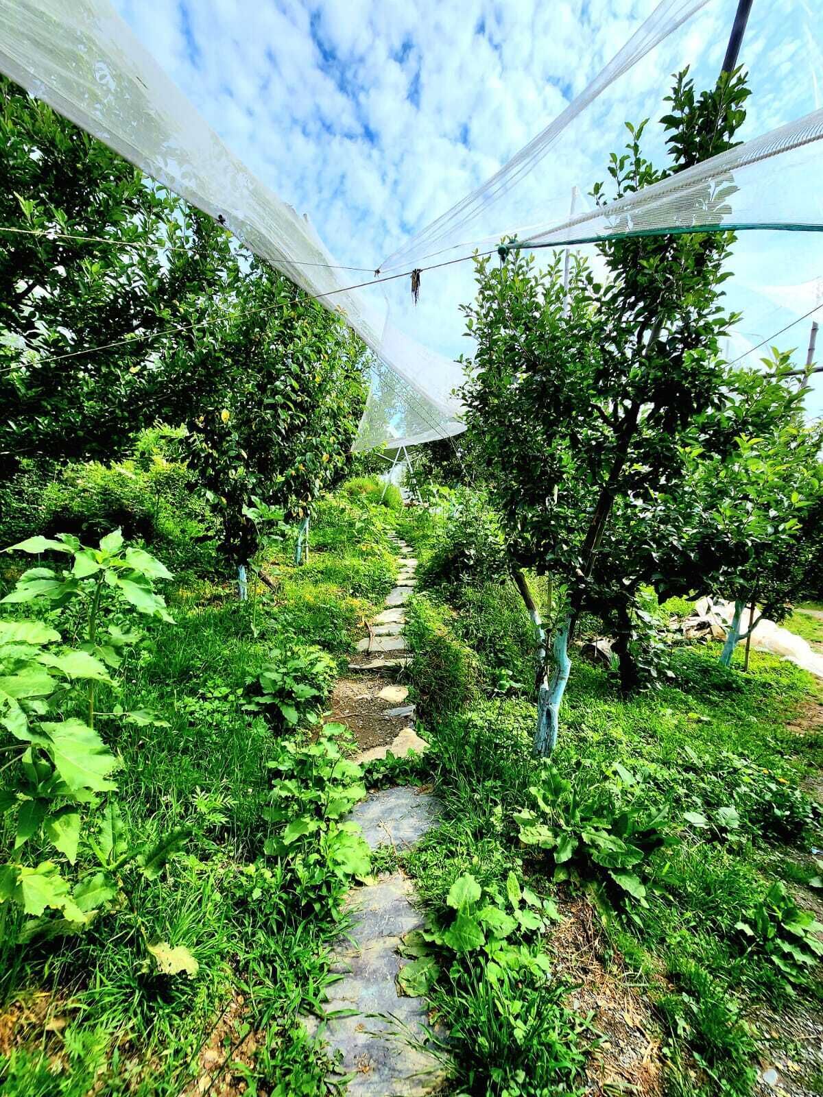 Overnattingsstedets uteområder