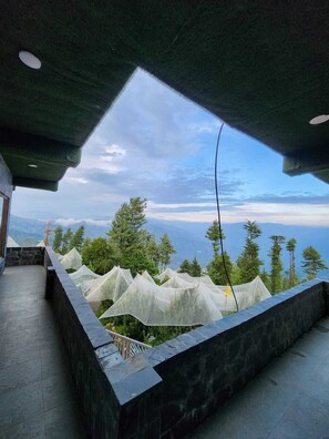 Terras