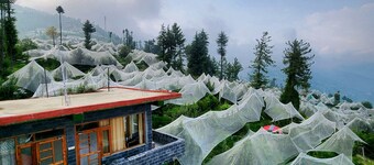 Talaighar Farmstay Shimla