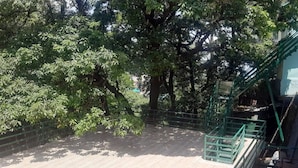 A staircase with green railings leading to a building. - Kaushik Cottage (Mussoorie)