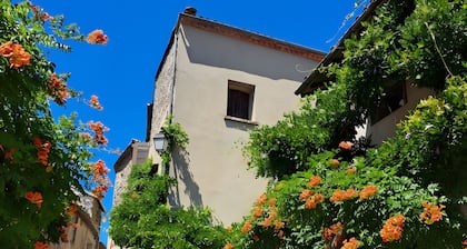 La clé de l'Arboux - Maison cévenole au pied du mont Aigoual