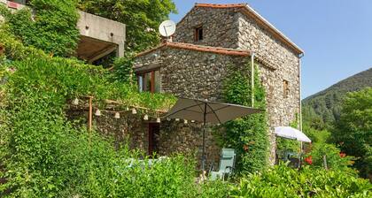La clé de l'Arboux – Stone House at the Foot of Mont Aigoual