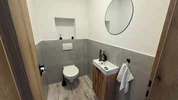 A modern bathroom with a toilet, sink, and mirror.