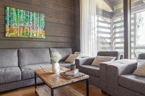 TV, fireplace, books