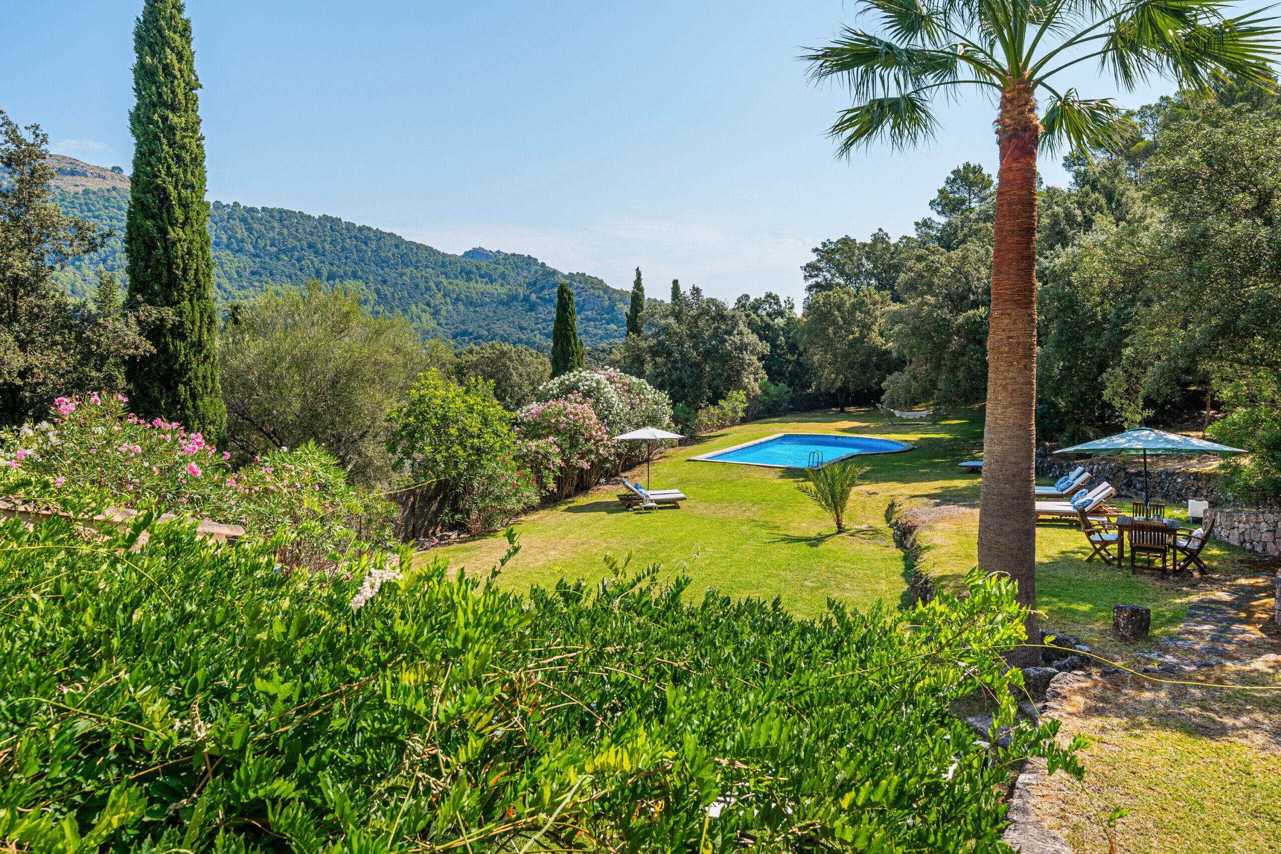 Un jardin luxuriant avec une piscine, des palmiers et une vue sur une montagne.