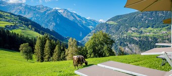 Apartment 'Jaufenspitz' with Mountain View, Shared Garden and Balcony