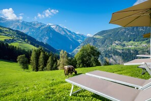 Property grounds - Apartment 'Matatzspitz' with Mountain View, Private Panoramic Terrace and Wi-Fi (Sankt Martin in Passeier)