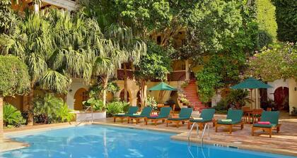 Pet-Friendly Modern Stay in Laredo’s Historic Heart | Pool & Gym Access