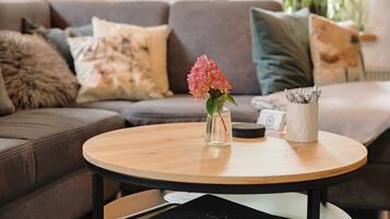 Fernseher, Kamin, DVD-Player