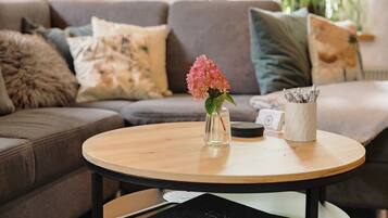 Tv, pejs, dvd-afspiller