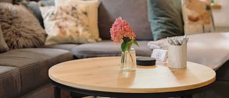 Televisión, chimenea y reproductor de DVD