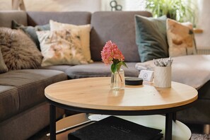 TV, fireplace, DVD player