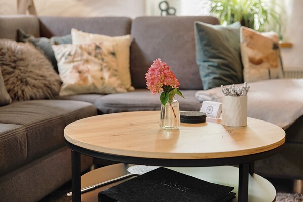 TV, fireplace, DVD player