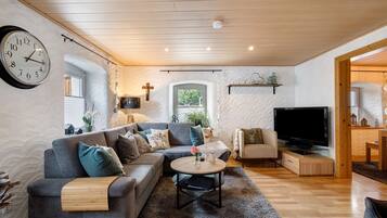 Televisión, chimenea y reproductor de DVD