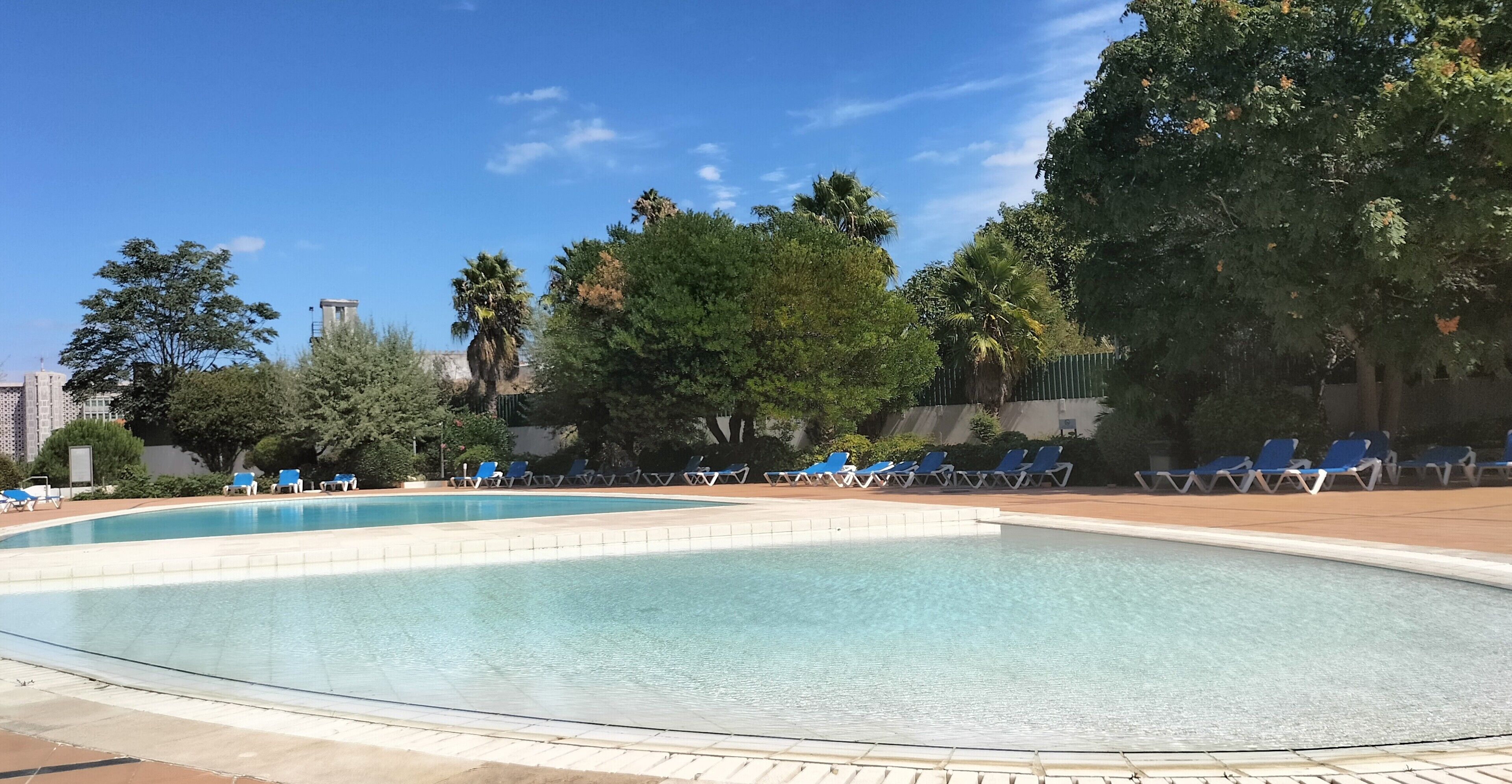 A swimming pool with blue lounge chairs and trees in the background.