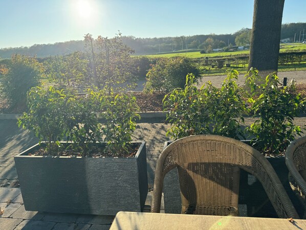 Un patio con plantas en macetas y mobiliario de mimbre.