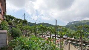 A vineyard with a wooden fence, a building with a red roof, and a mountainous backdrop. - Apartment 'Prima Luce' with Sea View, Private Terrace and Wi-Fi (Vico Equense)