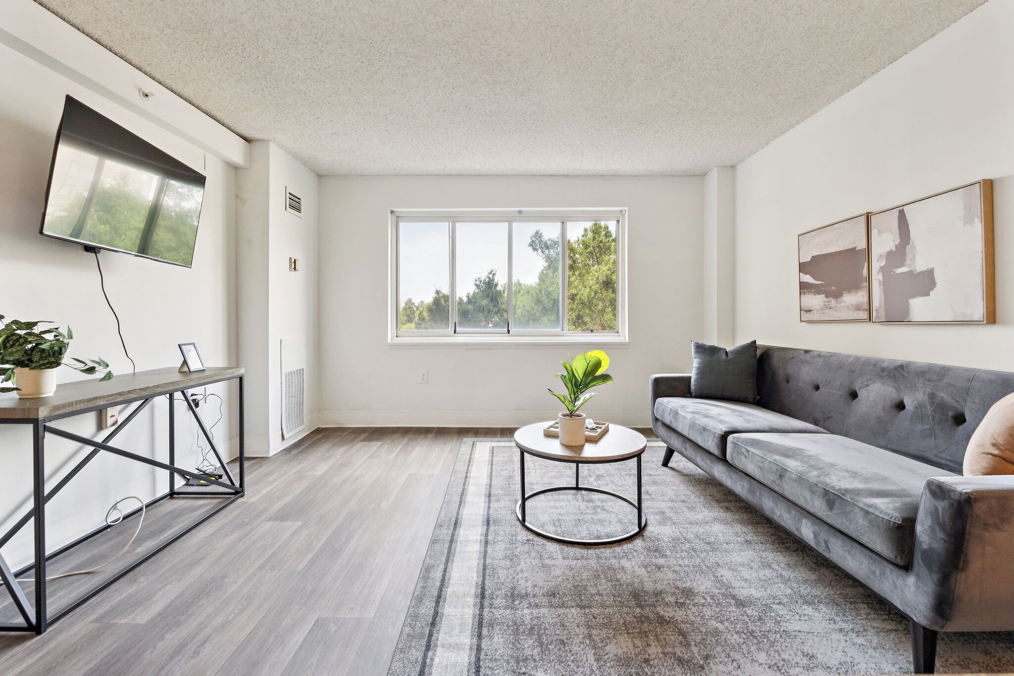 TV connectée, livres, espaces bureaux